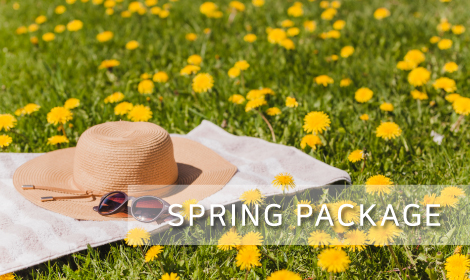 SPRING PACKAGE 썸네일 이미지