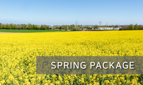 SPRING PACKAGE 썸네일 이미지