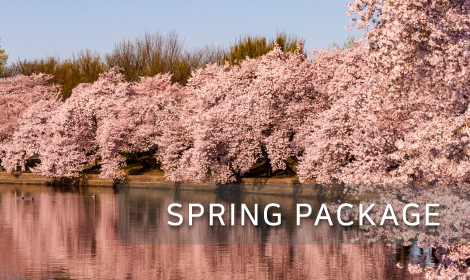 SPRING PACKAGE 썸네일 이미지