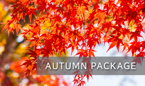 AUTUMN PACKAGE 썸네일 이미지